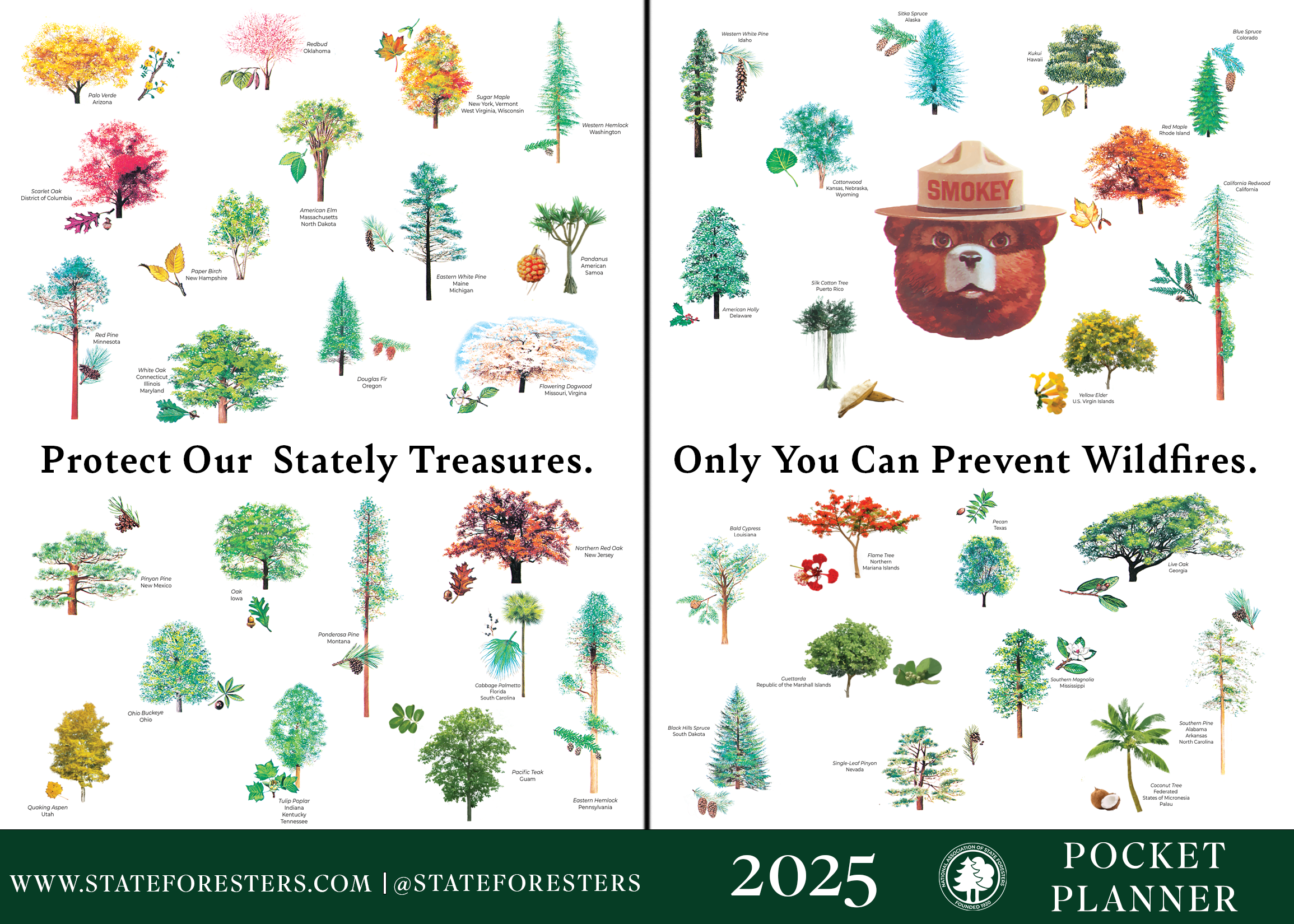 2025 Smokey Bear Pocket Planners (pack of 50)