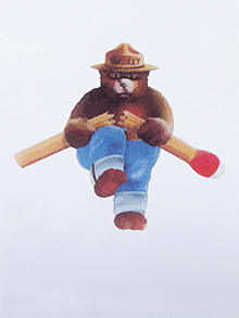 Smokey Bear Temporary Tattoo #2 (pack of 100)